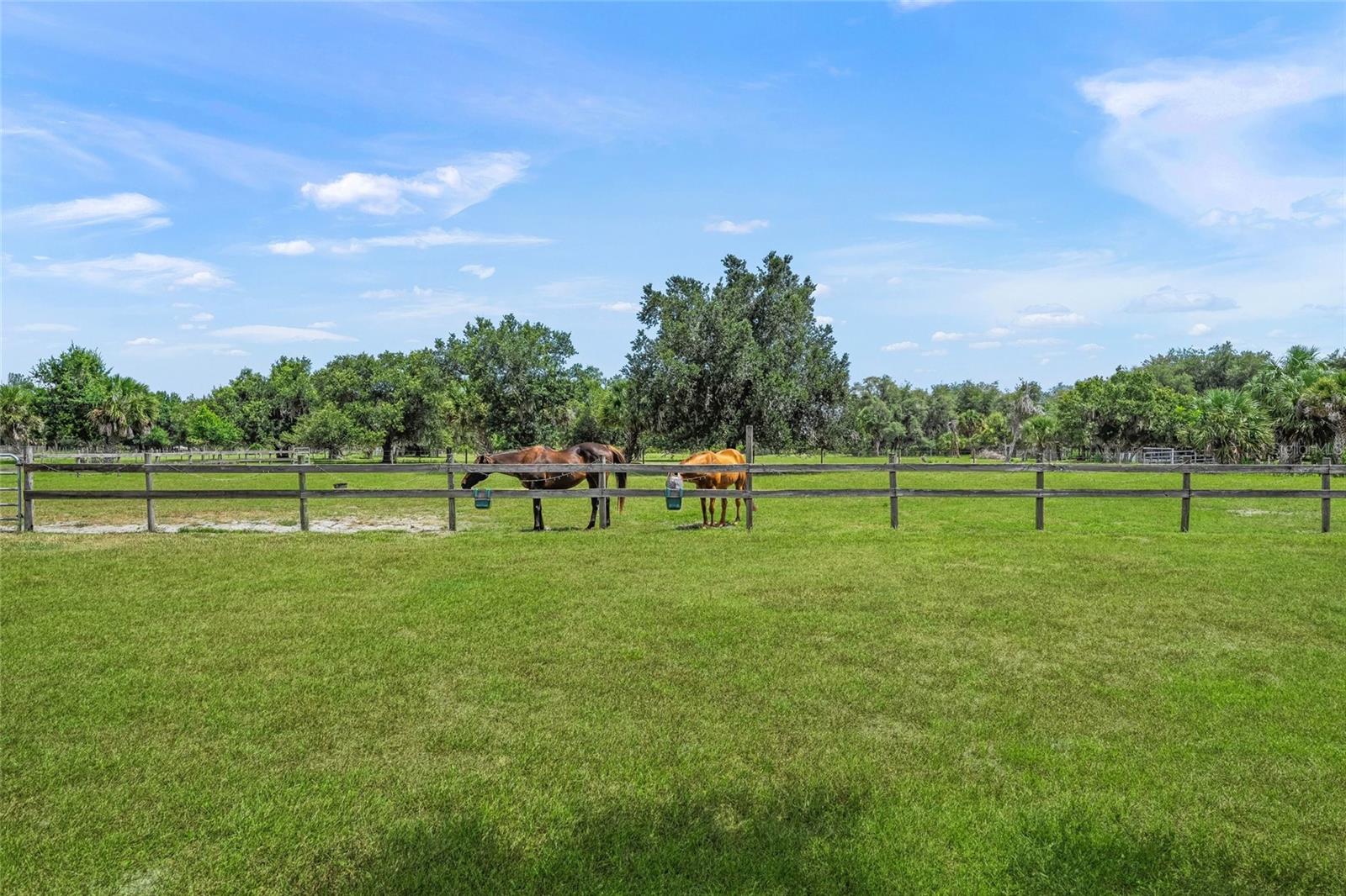 MYAKKA VALLEY RANCHES - Residential