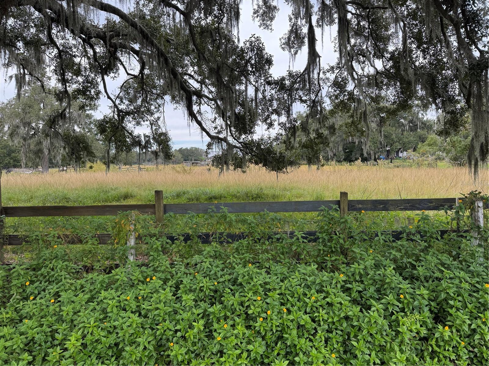 UNPLATTED - Land
