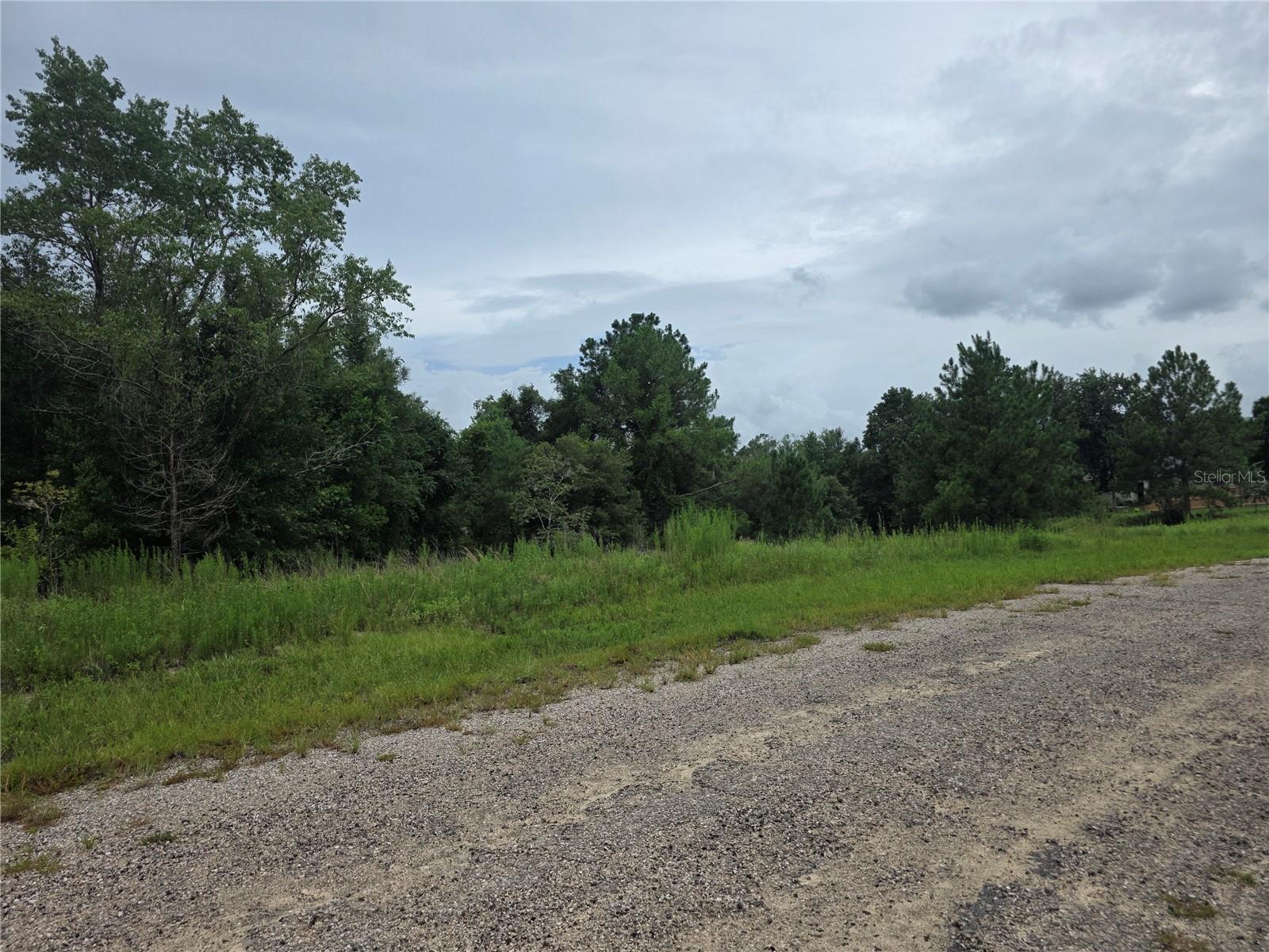 CITRUS SPRINGS UNIT 15 - Land