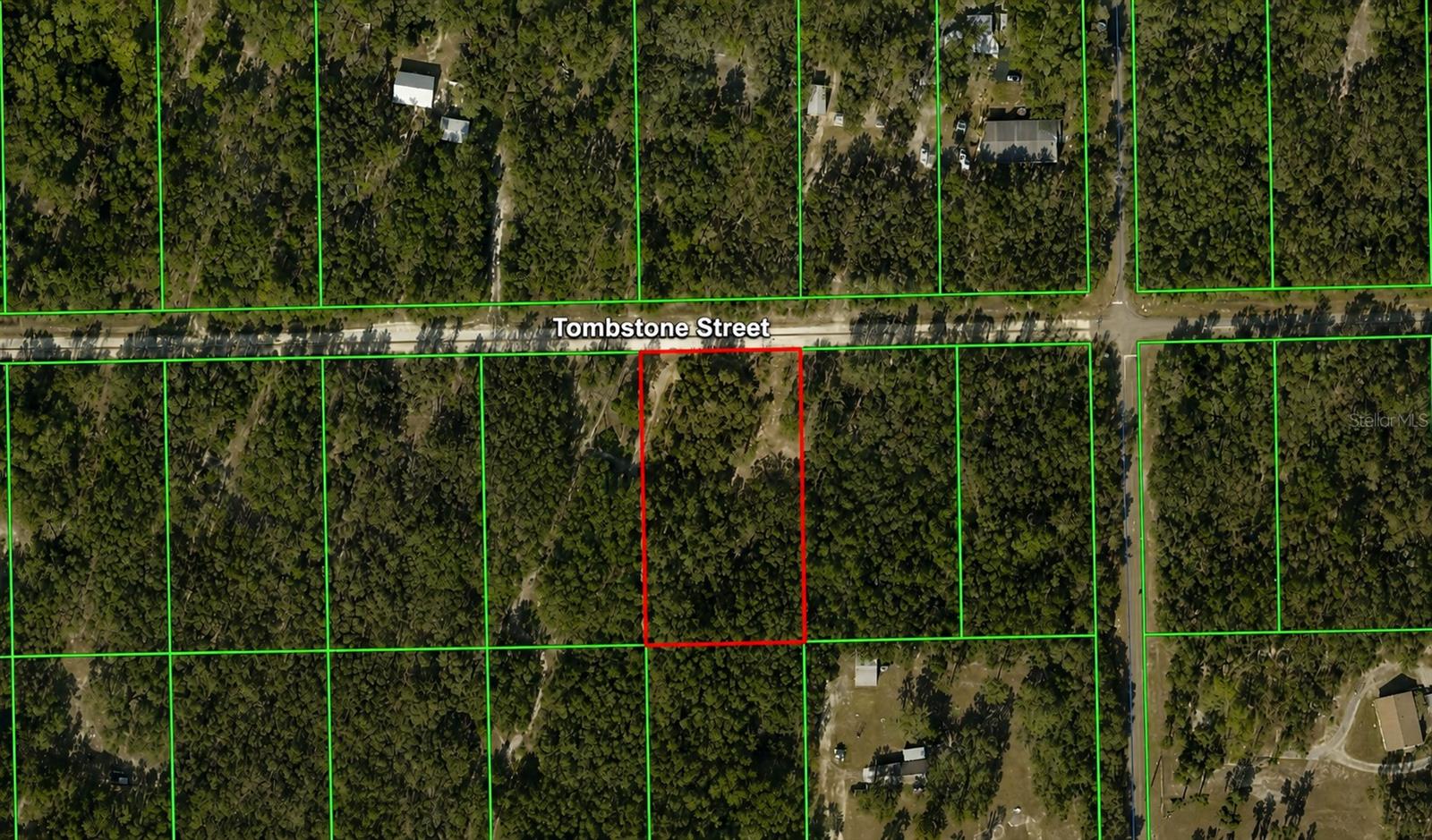 Escape to the peace and privacy of country living with this beautiful 1.1-acre wooded homesite in Webster, Florida. Tucked away in a serene setting, this property offers the perfect opportunity to build your dream home, weekend retreat, or private getaway surrounded by nature. Enjoy the tranquility of rural living while remaining conveniently located just minutes from Interstate 75, providing easy access to Tampa. Brooksville's shopping, dining, medical facilities, and everyday conveniences are only a short drive away, while Orlando is approximately one hour away for world-class attractions, entertainment, and travel. If you've been searching for the ideal combination of privacy, natural beauty, and accessibility, this wooded acreage is ready for your vision. Bring your builder and start planning your Florida dream today!