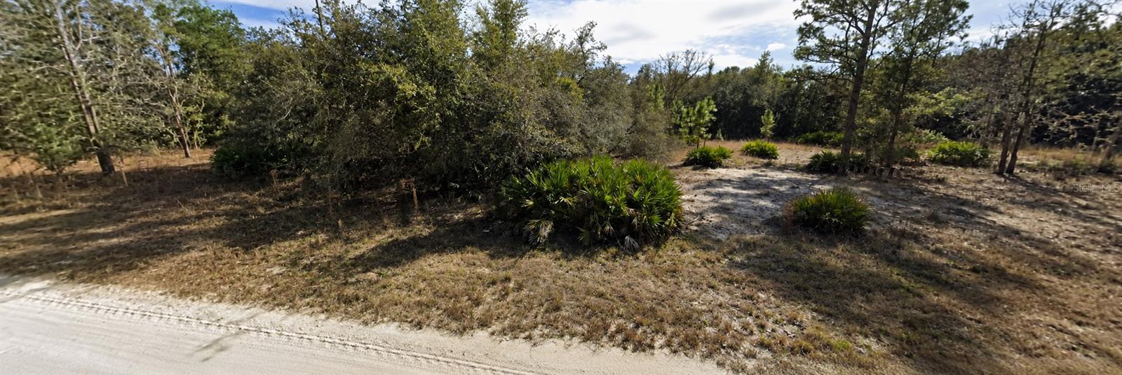 RIDGE MANOR ESTATE - Land