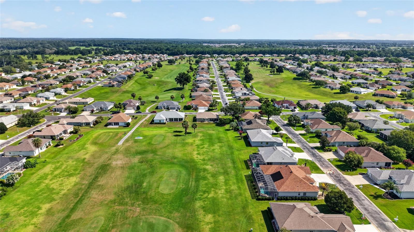 OCALA PALMS - Residential
