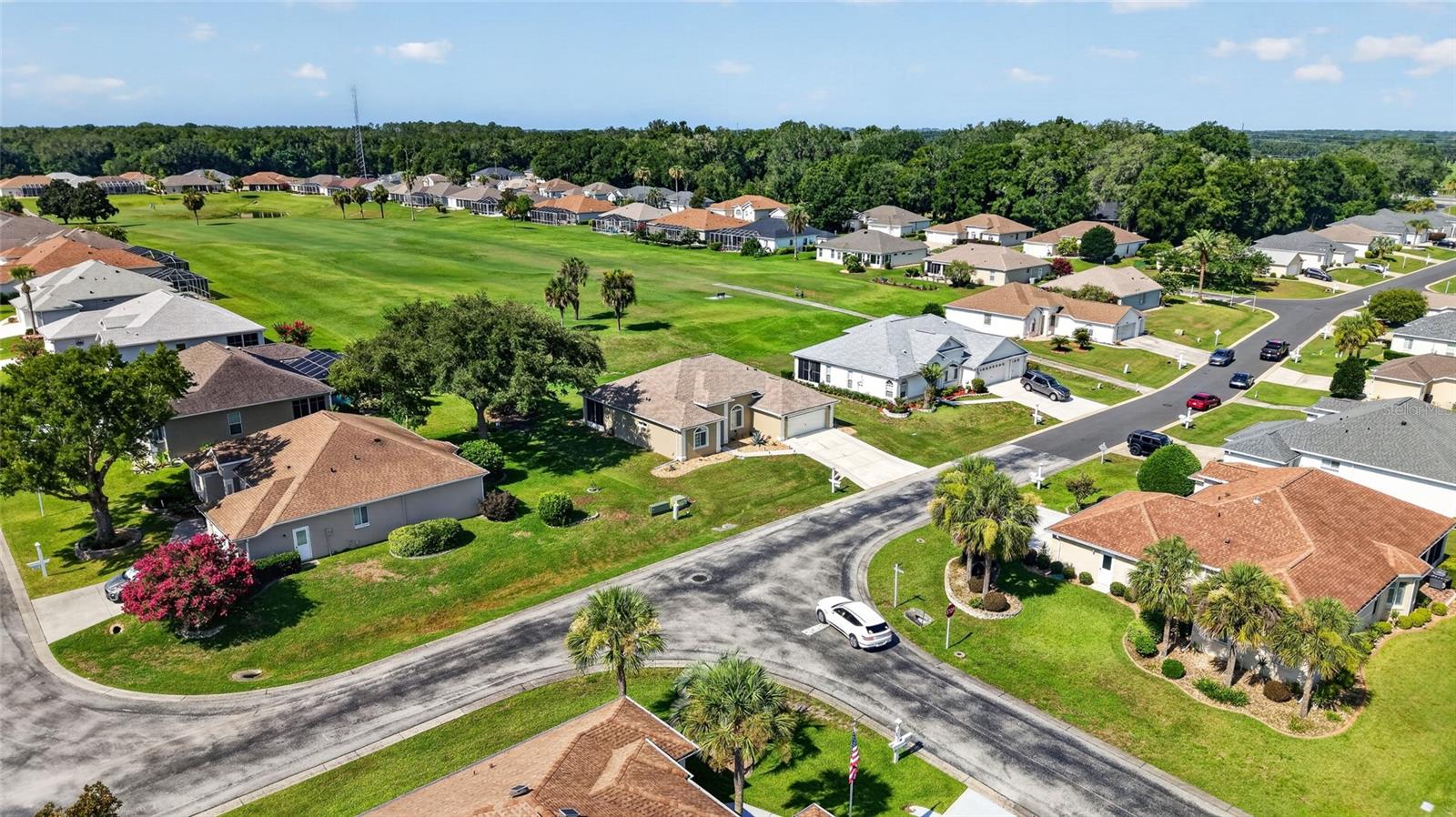 OCALA PALMS - Residential