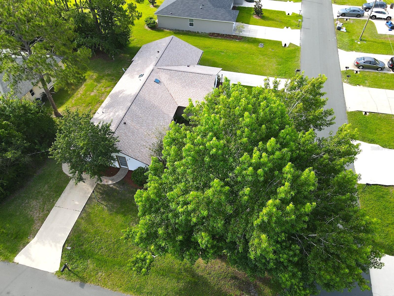BELLE TERRE - Residential Lease
