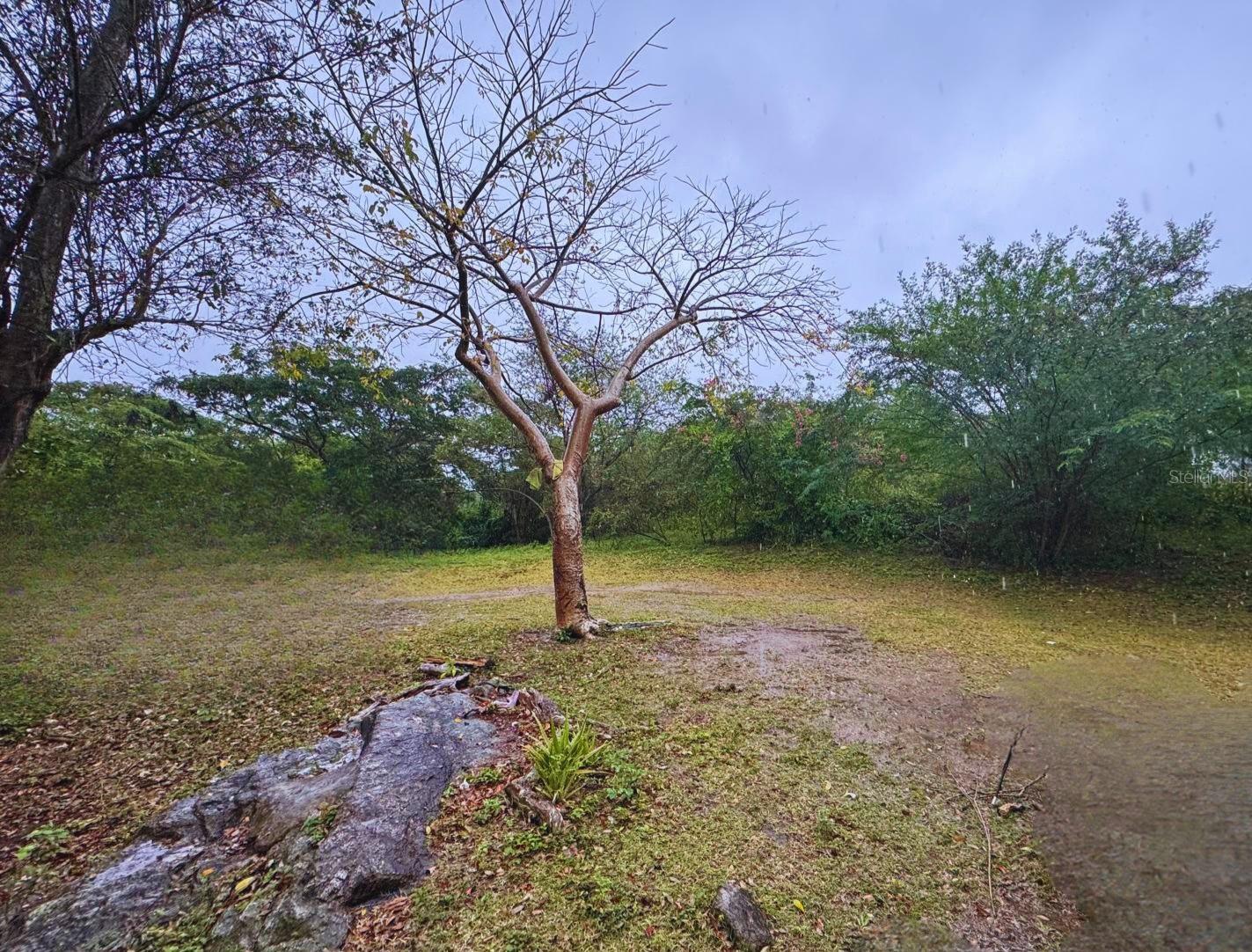 MONTE SANTO - Residential