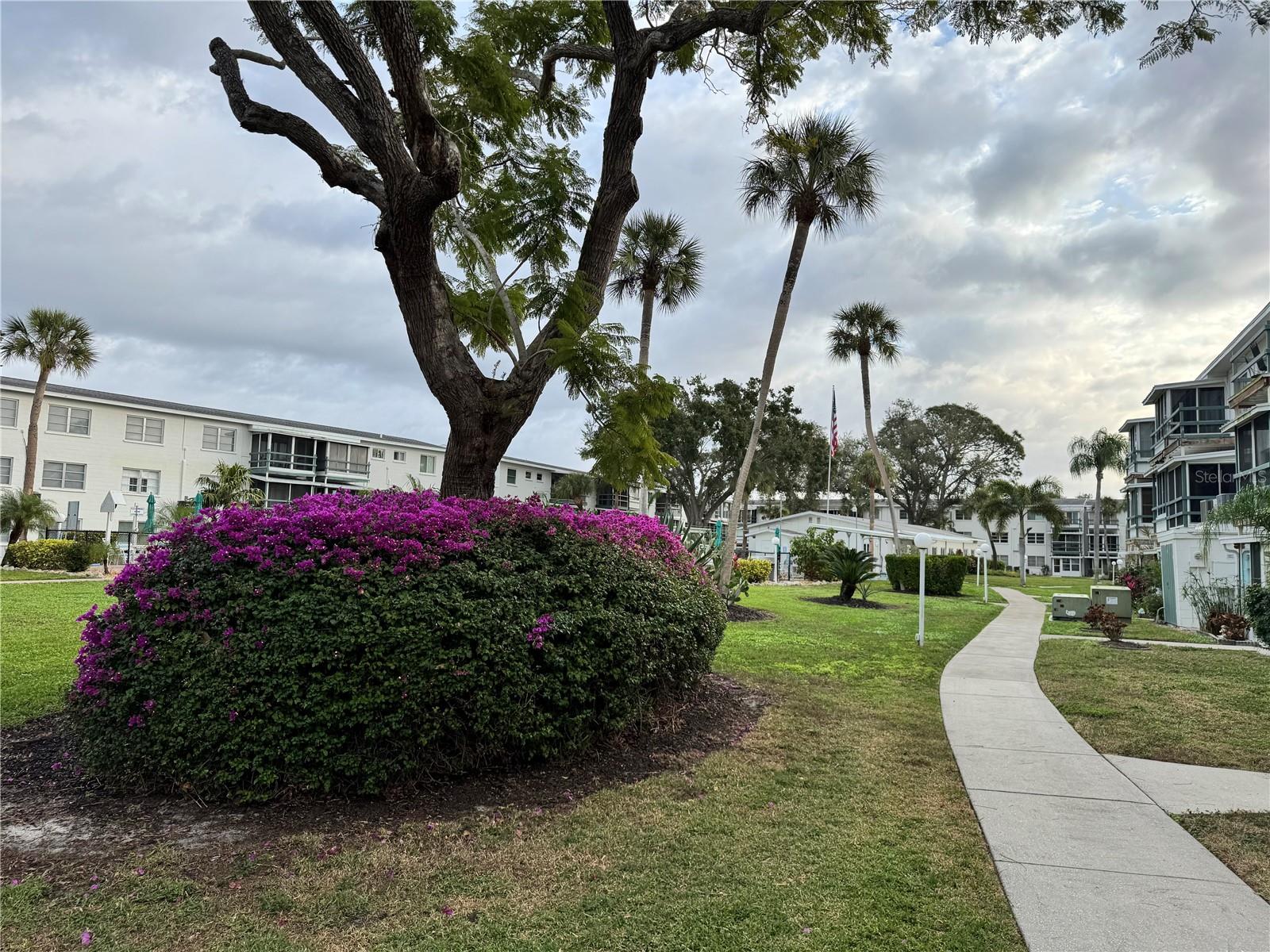 BAYSHORE II SEC 14 - Residential