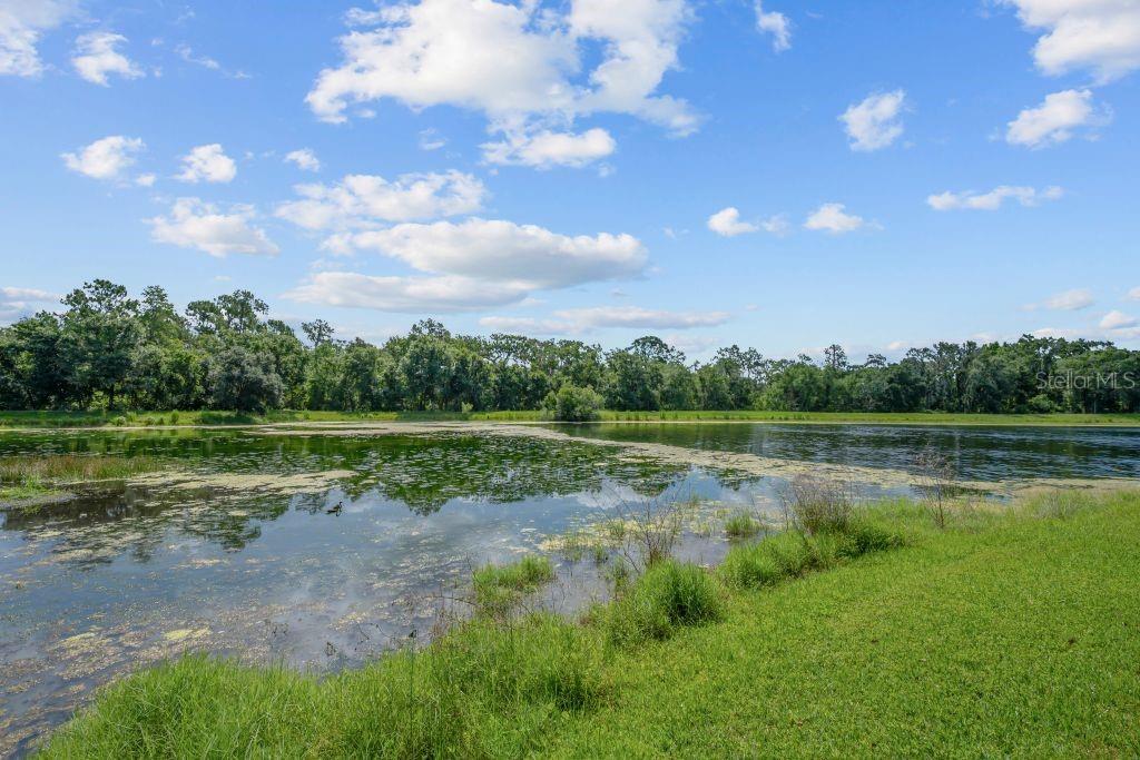FISHHAWK RANCH PH 02 - Residential
