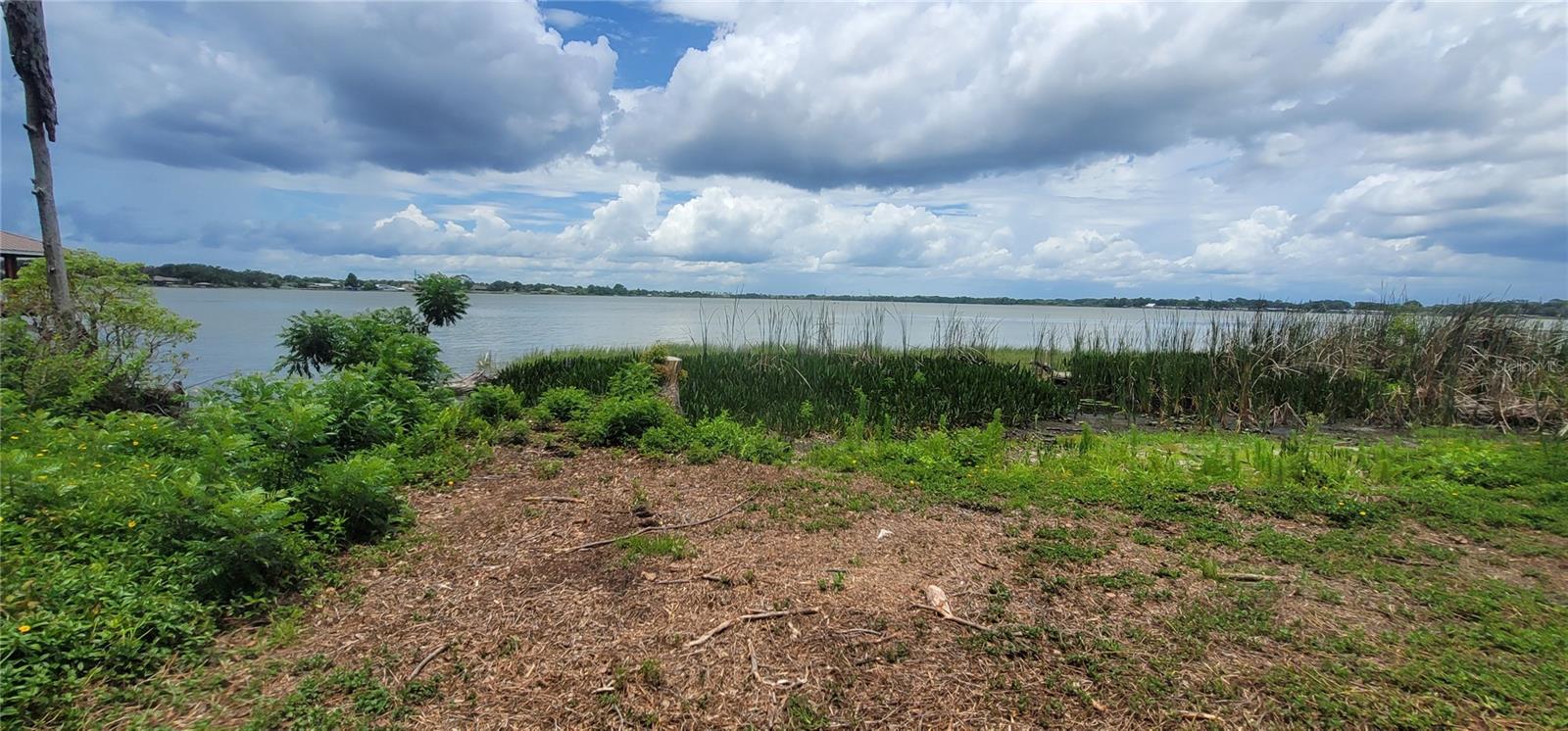 MARIANA OAKS - Land