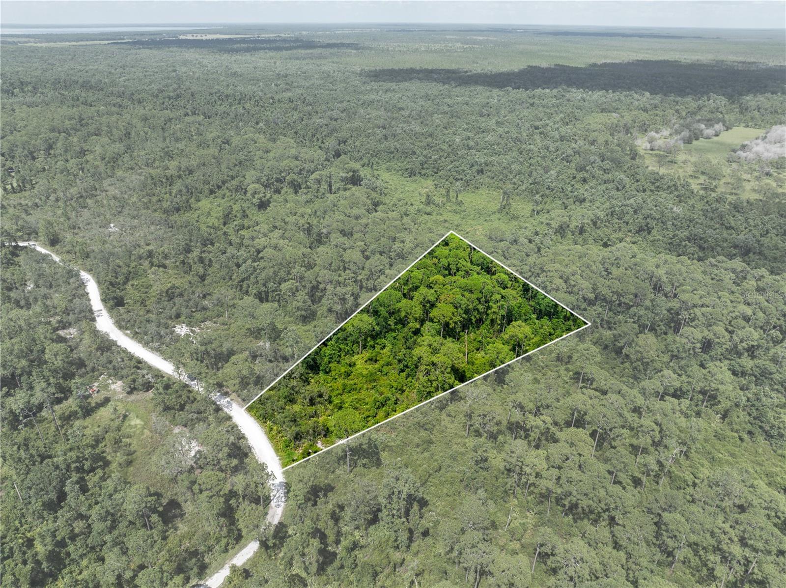 BLUE JORDAN FOREST - Land