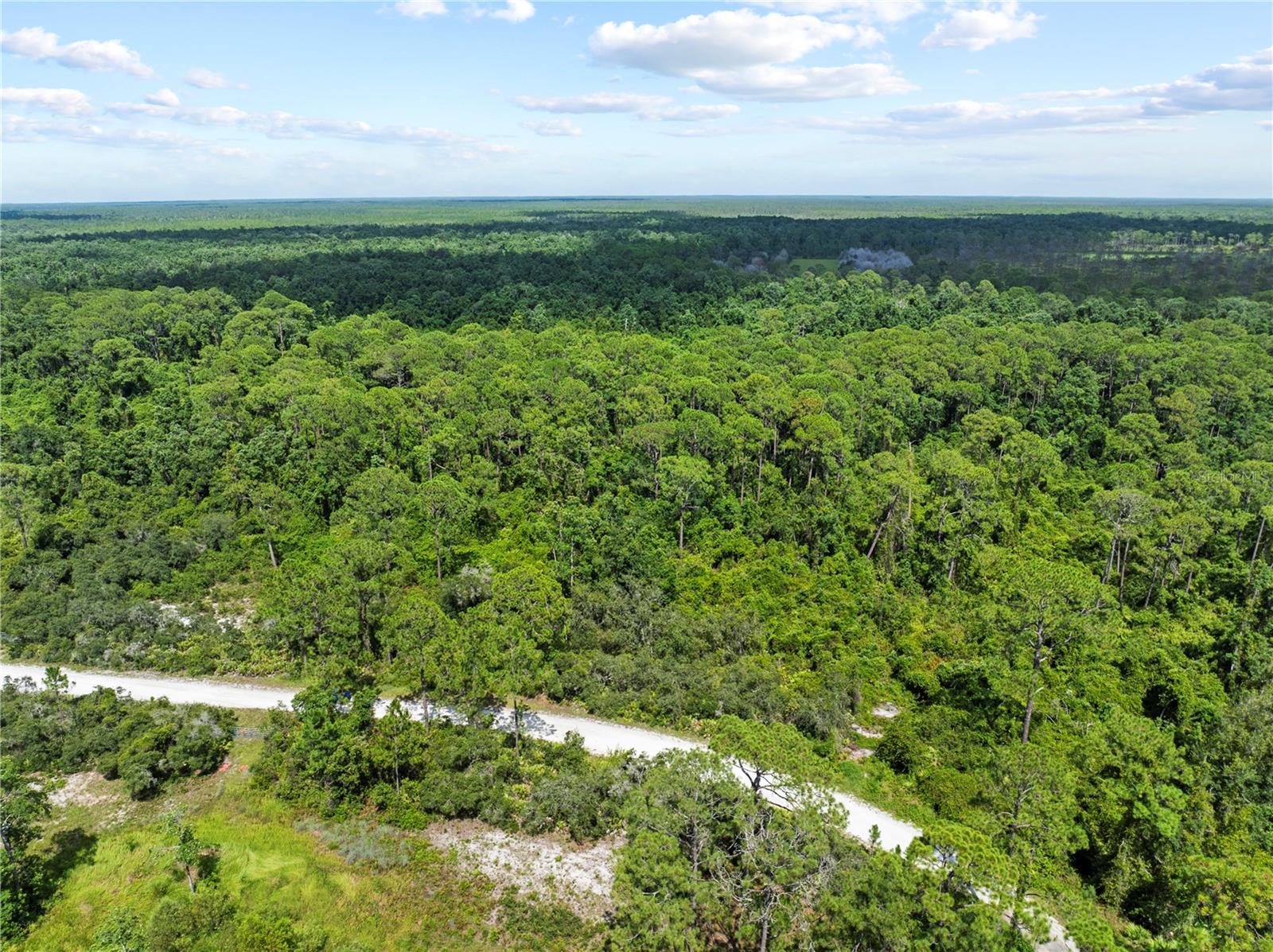 BLUE JORDAN FOREST - Land