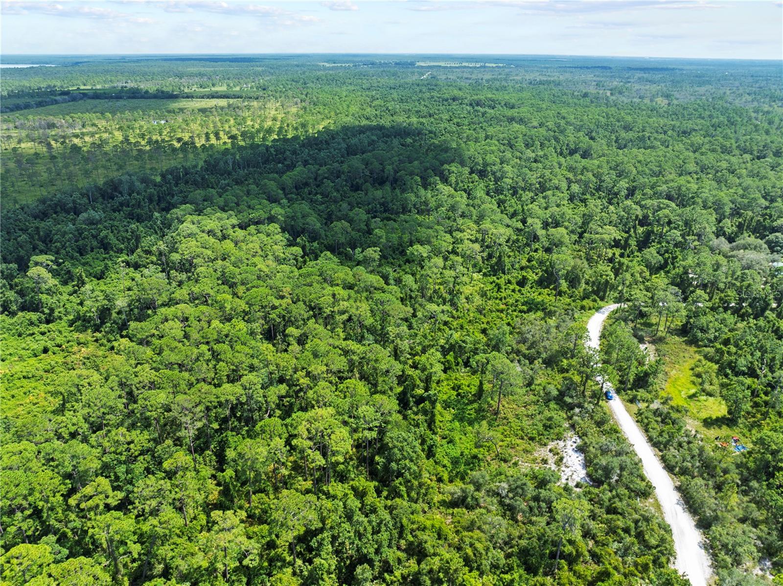 BLUE JORDAN FOREST - Land