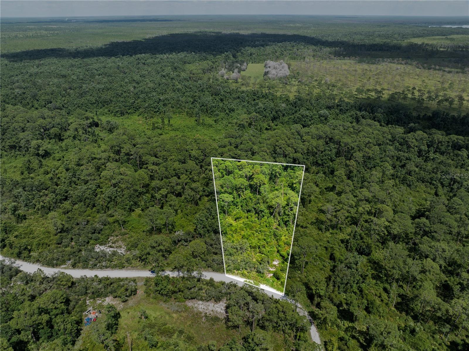 BLUE JORDAN FOREST - Land