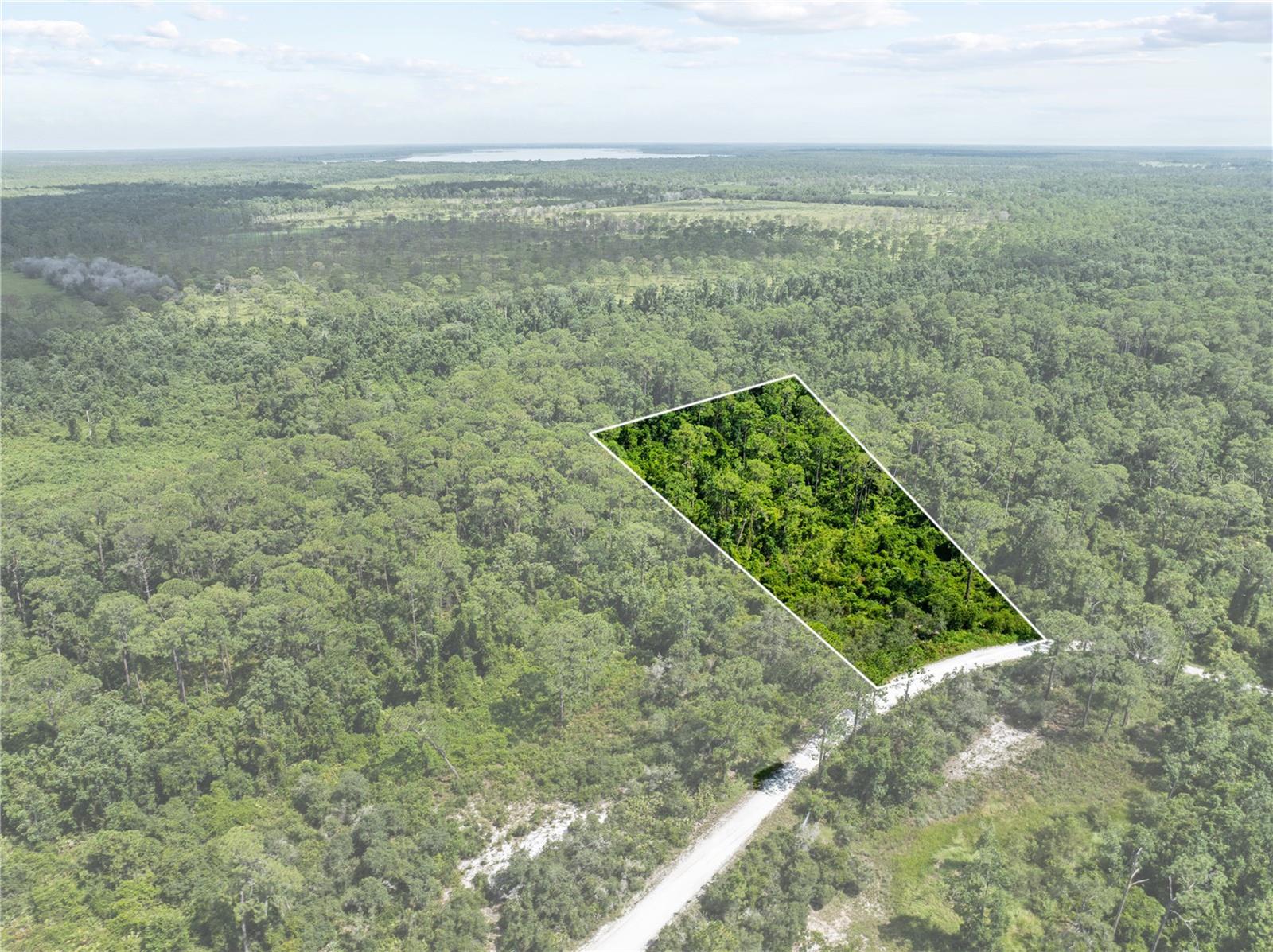 BLUE JORDAN FOREST - Land