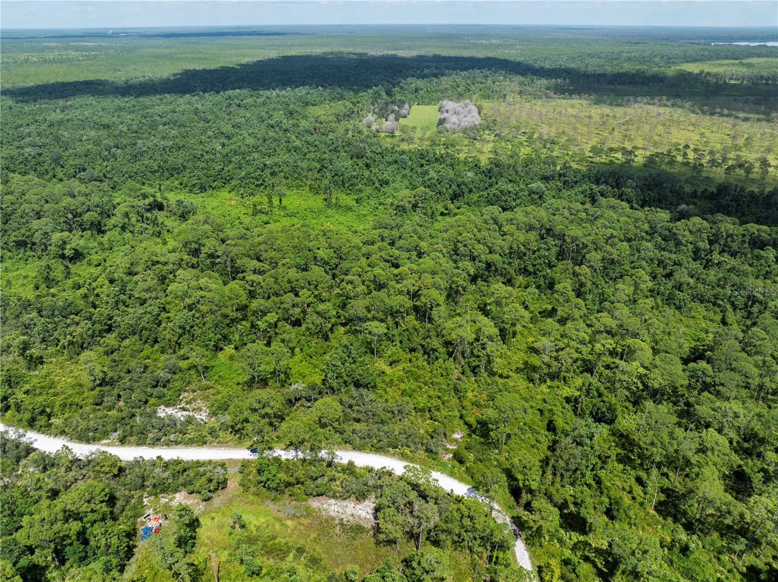 BLUE JORDAN FOREST - Land