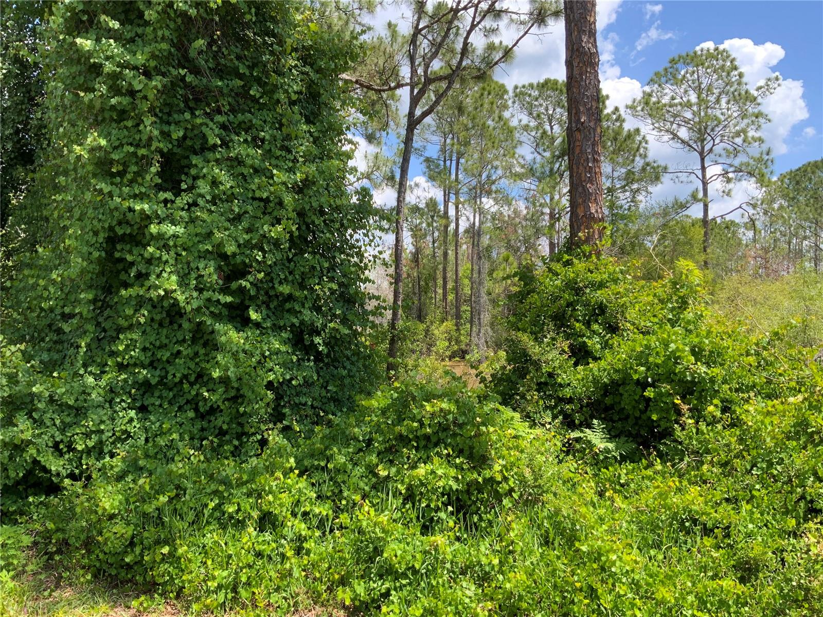 DELTONA LAKES UN 59 - Land