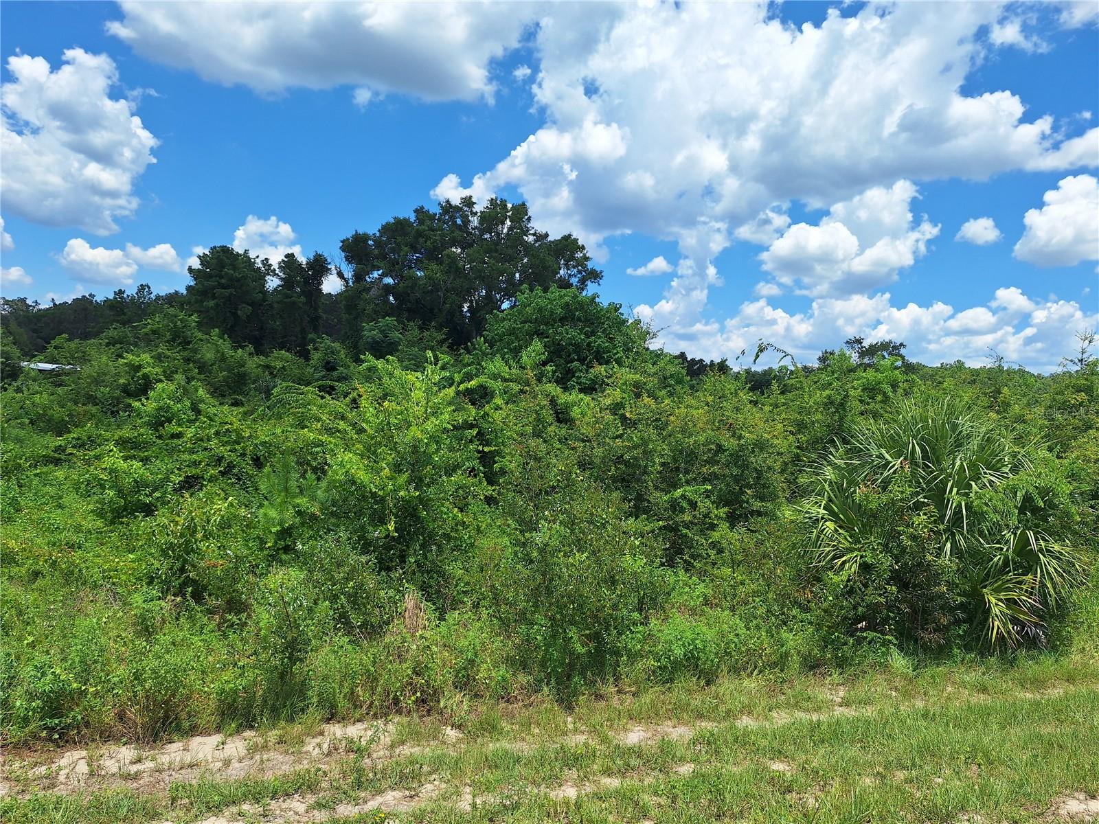 OLDE TOWNE COMMERCE CENTER - Land