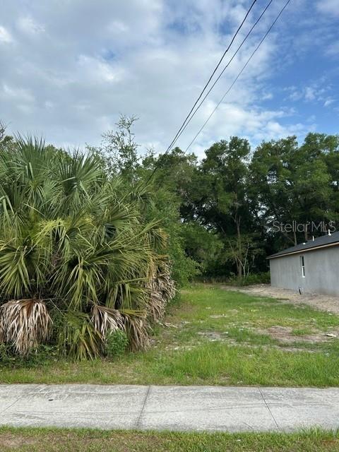 EUSTIS HOGANS SUB - Land