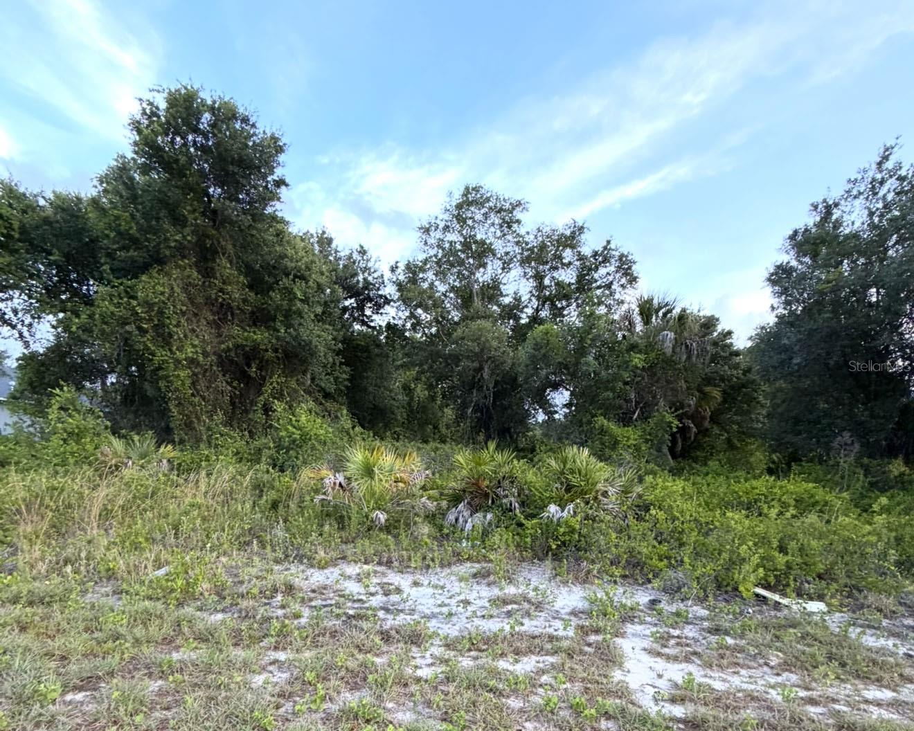 Build your dream home on this oversized residential lot located in the growing city of North Port. This 0.26-acre property offers plenty of space and is conveniently located near shopping, dining, schools, parks, and major roadways. No HOA and no deed restrictions. Great opportunity for homeowners, builders, or investors looking to own land in a rapidly developing area of Southwest Florida.