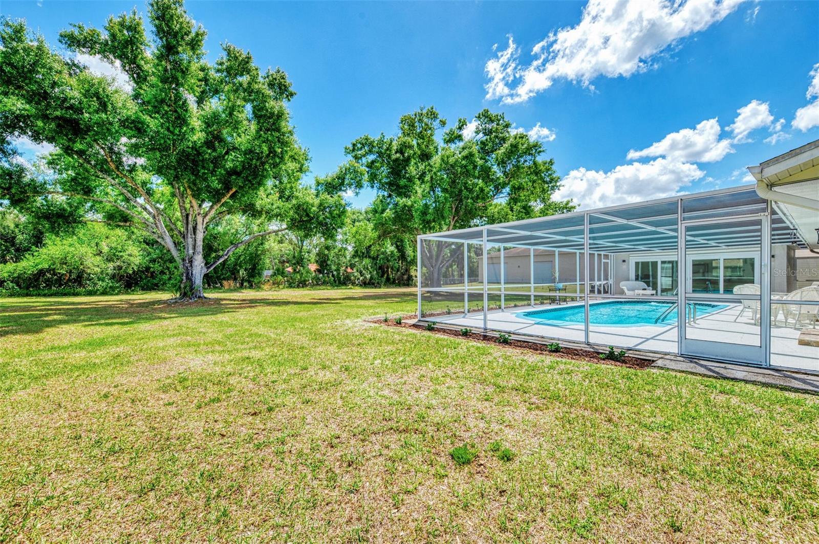 MILDRED L DOTSON REP - Residential