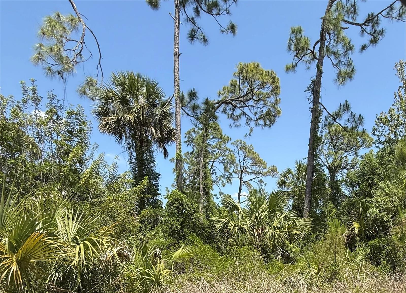 Located in the growing city of North Port and zoned AC6 – Activity Center 6, this vacant lot presents an excellent opportunity for investment or future development. North Port continues to experience strong growth and demand, making it an attractive option for buyers looking for convenience, expansion, and long-term potential.

Enjoy easy access to Sarasota and Fort Myers, along with many of the area’s top attractions including the Atlanta Braves Spring Training Stadium, North Port Aquatic Center, shopping, dining, parks, and beautiful Gulf Coast beaches just a short drive away.

Whether you’re looking to build, invest, or secure land in one of Southwest Florida’s fastest-growing areas, this property is worth a look. Drive by today and explore the possibilities.