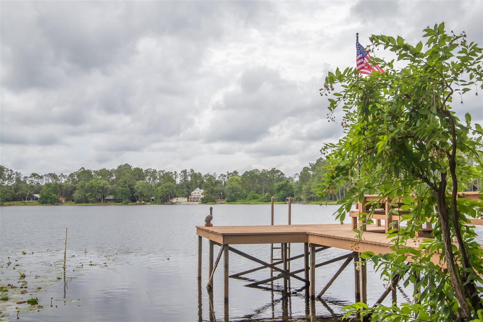 STAR LAKE FOREST - Residential