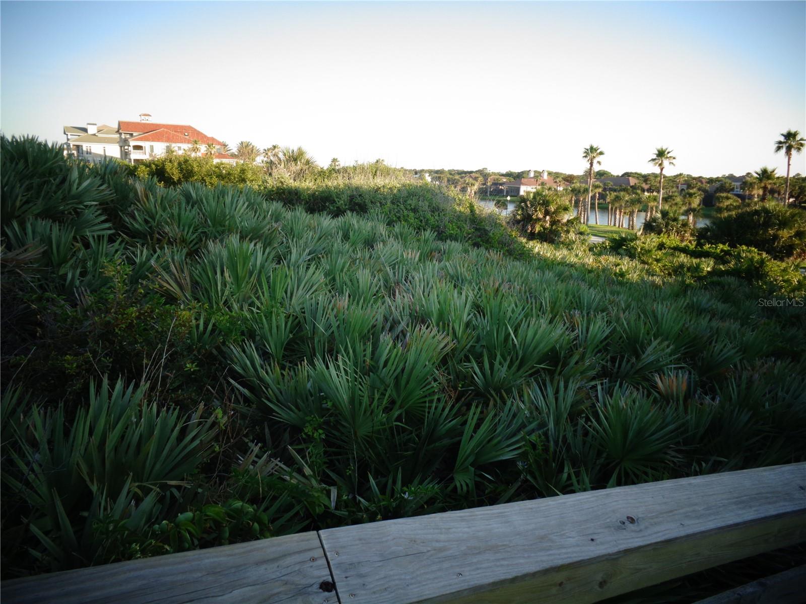HAMMOCK DUNES CLSTRS 16C 19&20 - Land