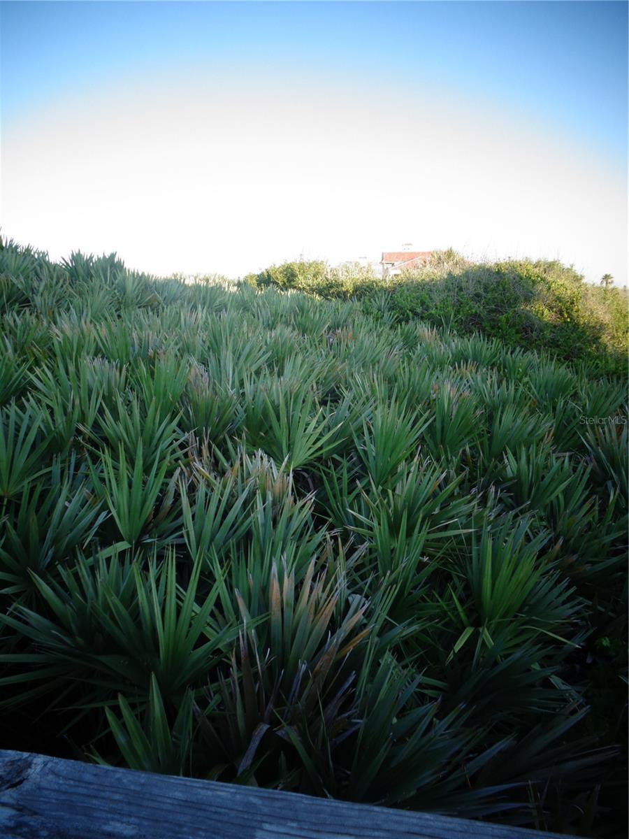 HAMMOCK DUNES CLSTRS 16C 19&20 - Land