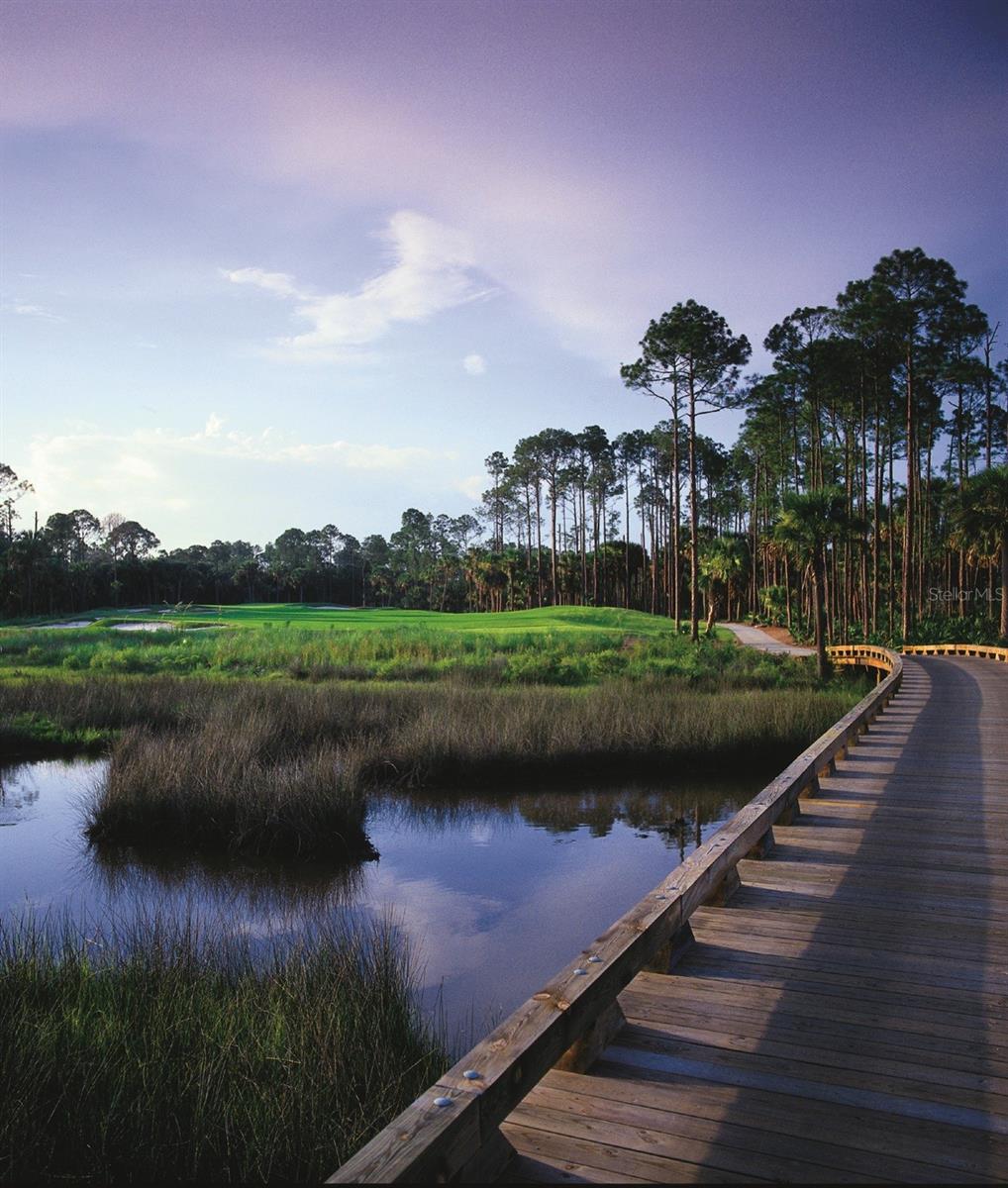 HAMMOCK DUNES CLSTRS 16C 19&20 - Land