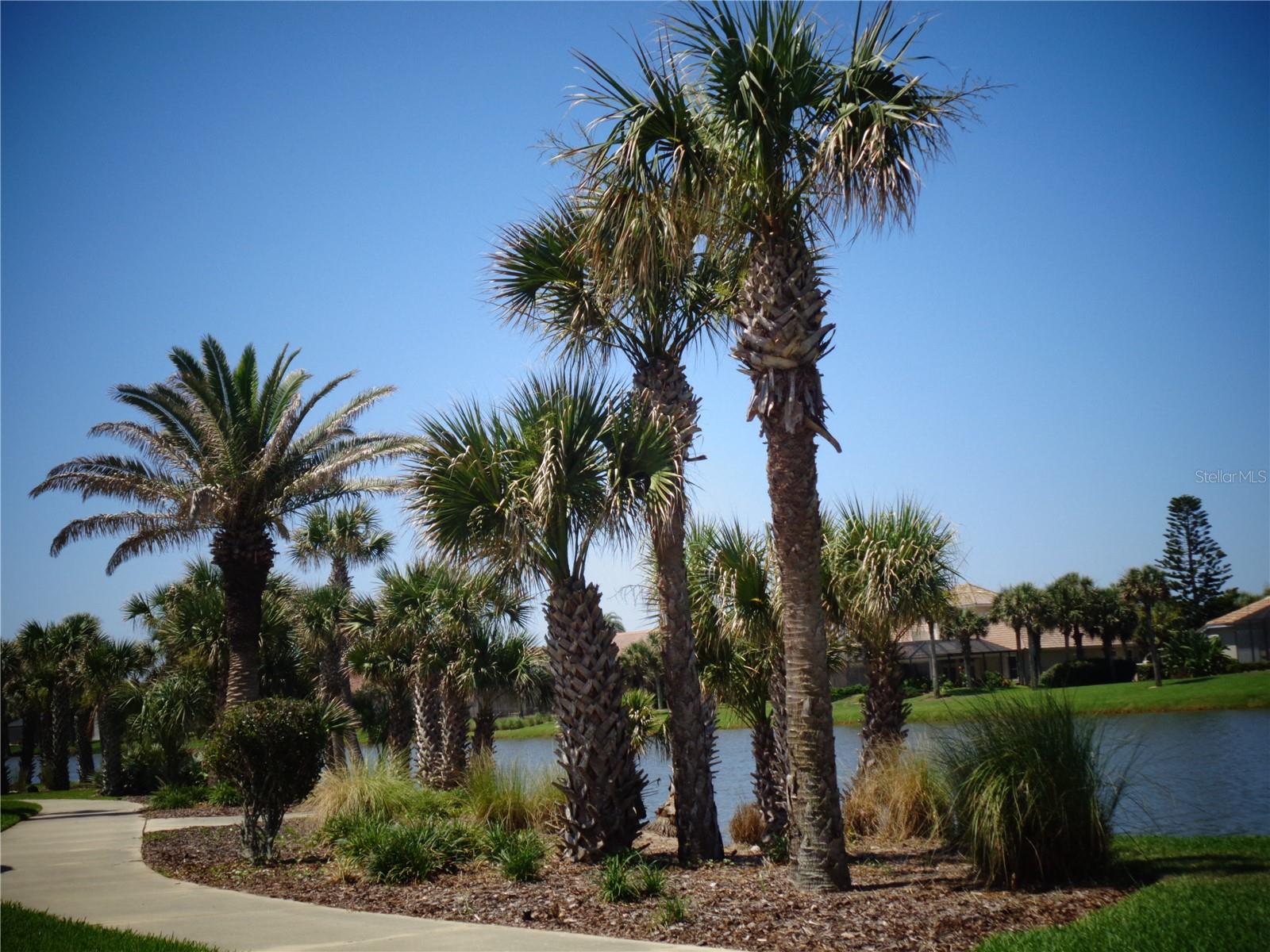 HAMMOCK DUNES CLSTRS 16C 19&20 - Land