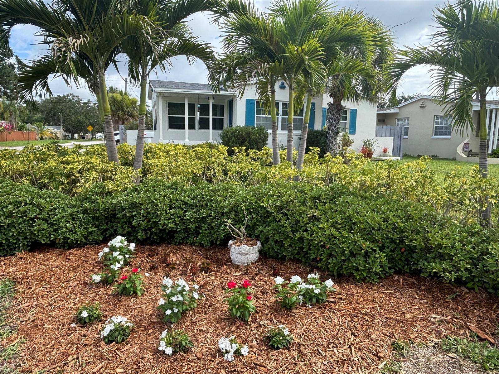SNELL SHORES - Residential