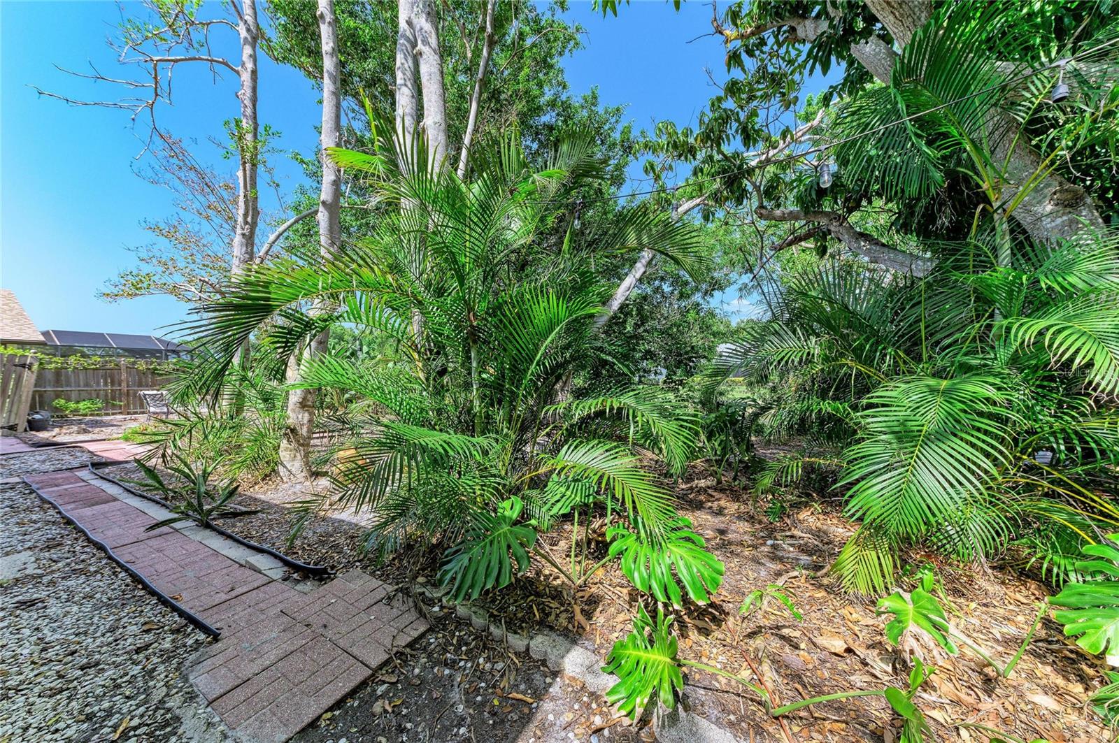 PINE MEADOW - Residential