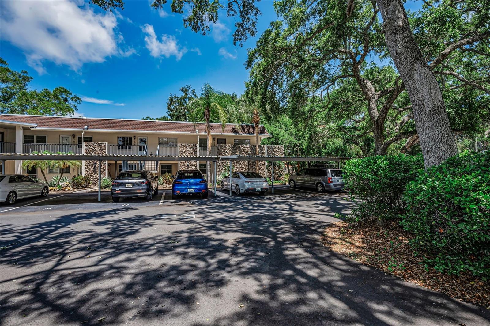 PATRICIAN OAKS - Residential