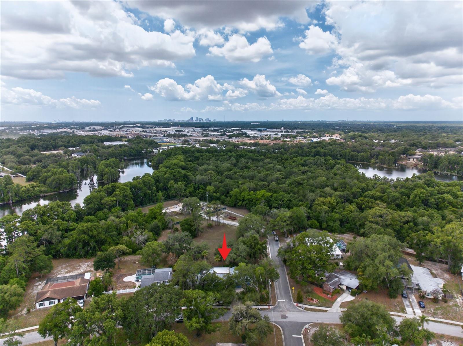 TEMPLE TERRACE RIVERSIDE SUBDI - Residential