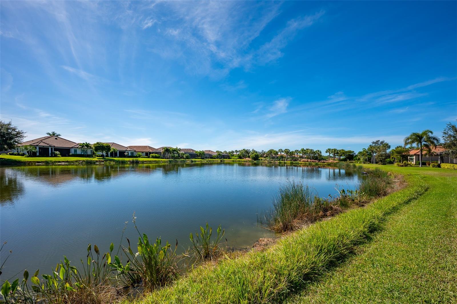 ESPLANADE ON PALMER RANCH - Residential