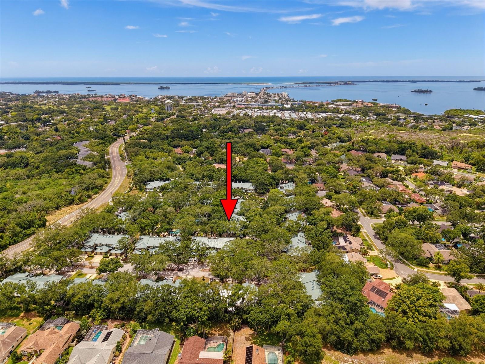 LAUREL OAKS AT COUNTRY WOODS CONDO - Residential