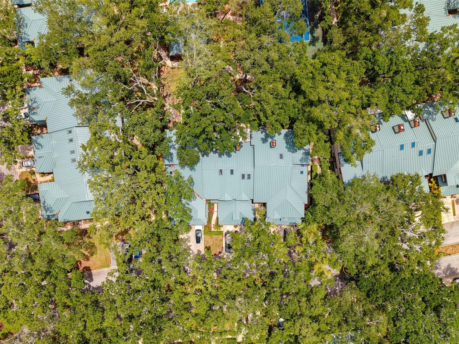 LAUREL OAKS AT COUNTRY WOODS CONDO - Residential
