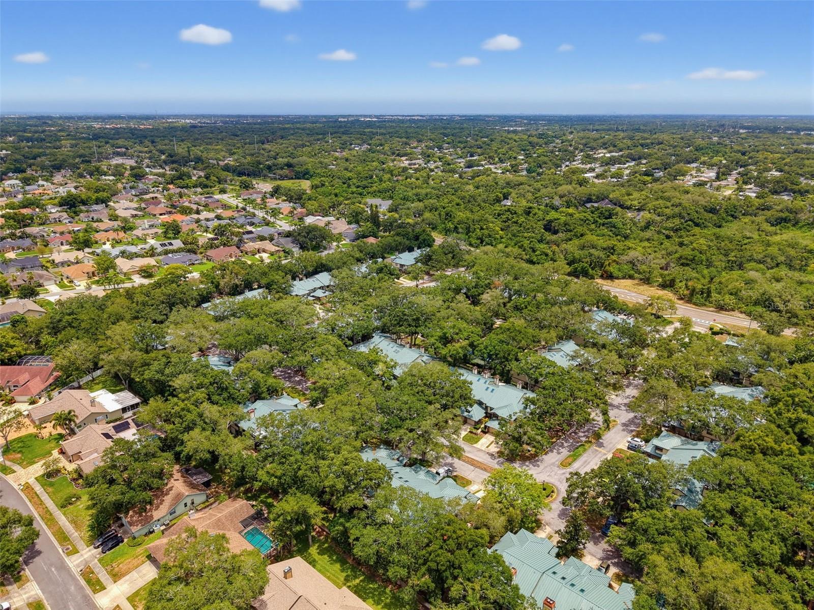 LAUREL OAKS AT COUNTRY WOODS CONDO - Residential