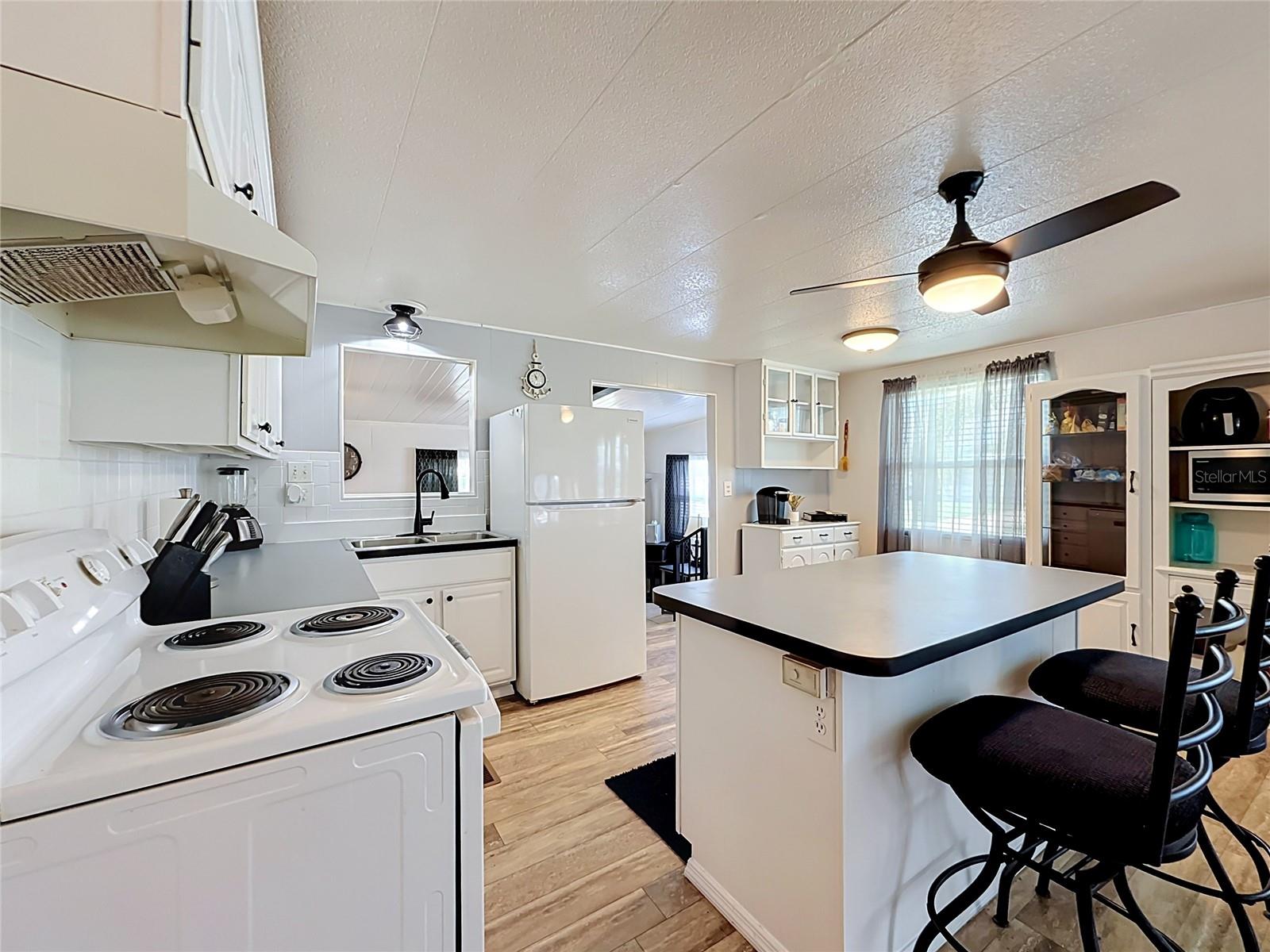 TAVARES LAKE FRANCES ESTATES - Residential