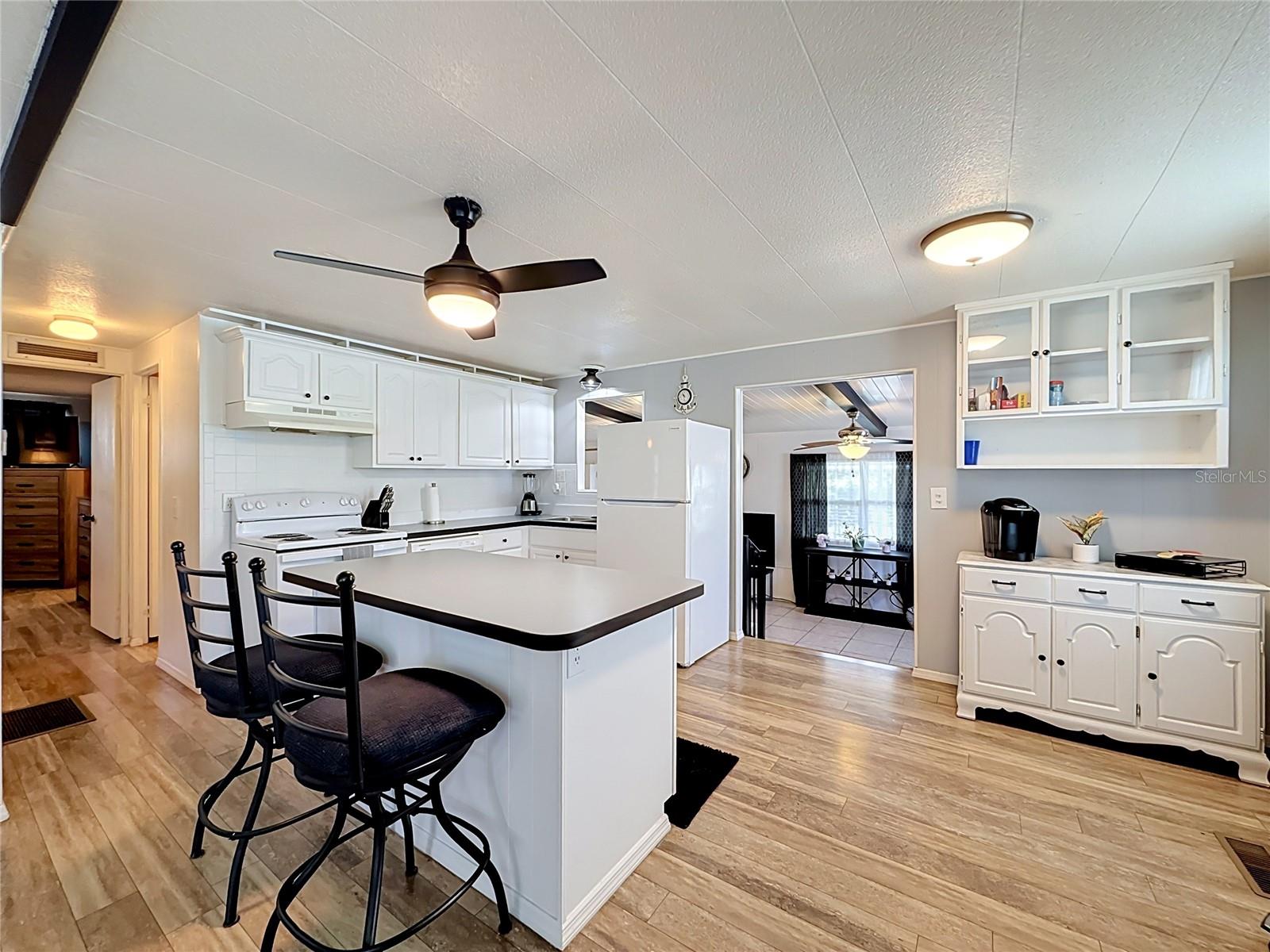 TAVARES LAKE FRANCES ESTATES - Residential