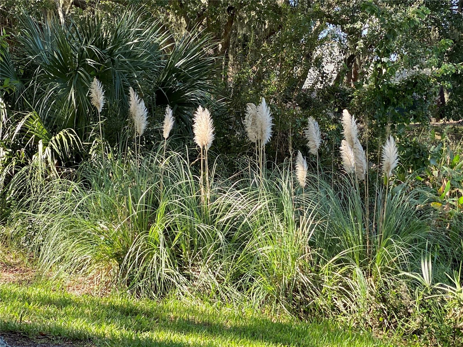 PLANTATION AT LEESBURG ASHLAND VILLAGE - Residential