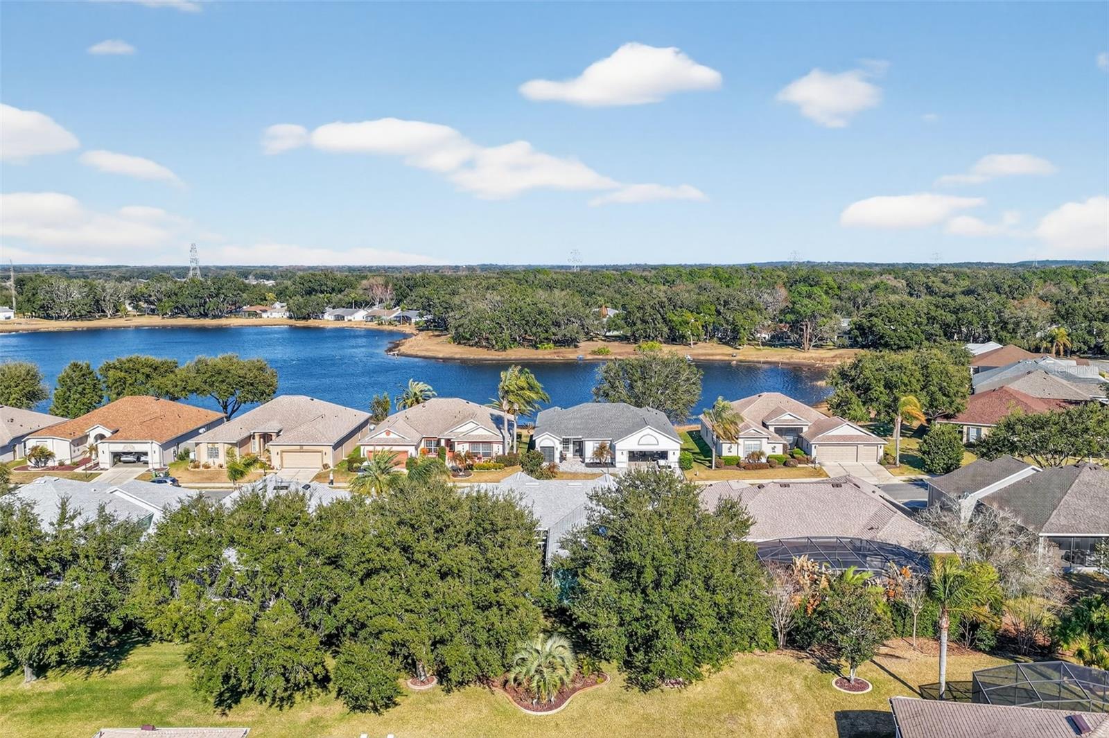 PLANTATION AT LEESBURG ASHLAND VILLAGE - Residential