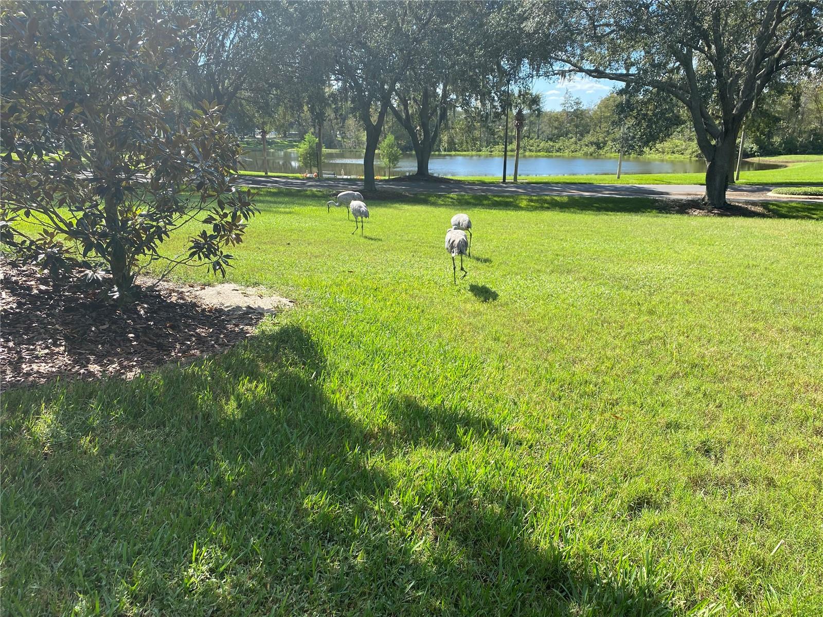 PLANTATION AT LEESBURG ASHLAND VILLAGE - Residential