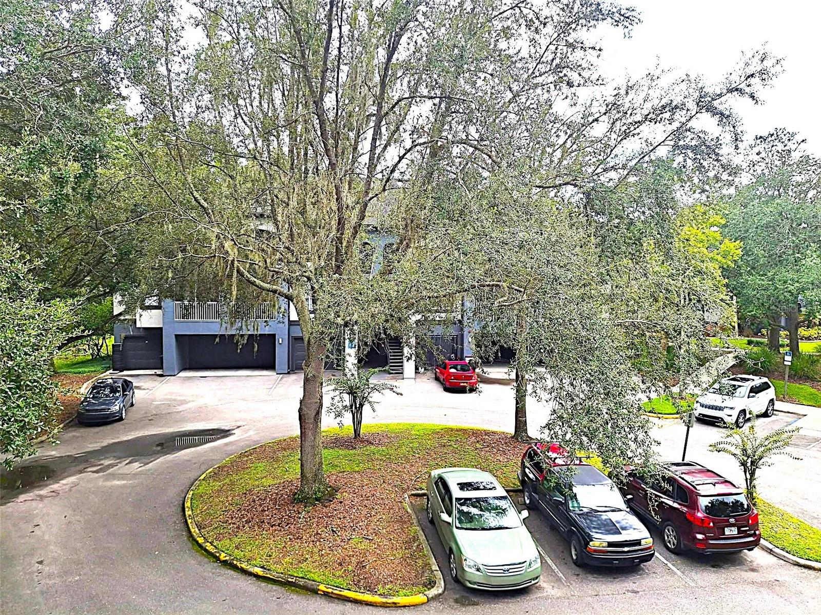 THE PRESERVE AT TEMPLE TERRACE - Residential