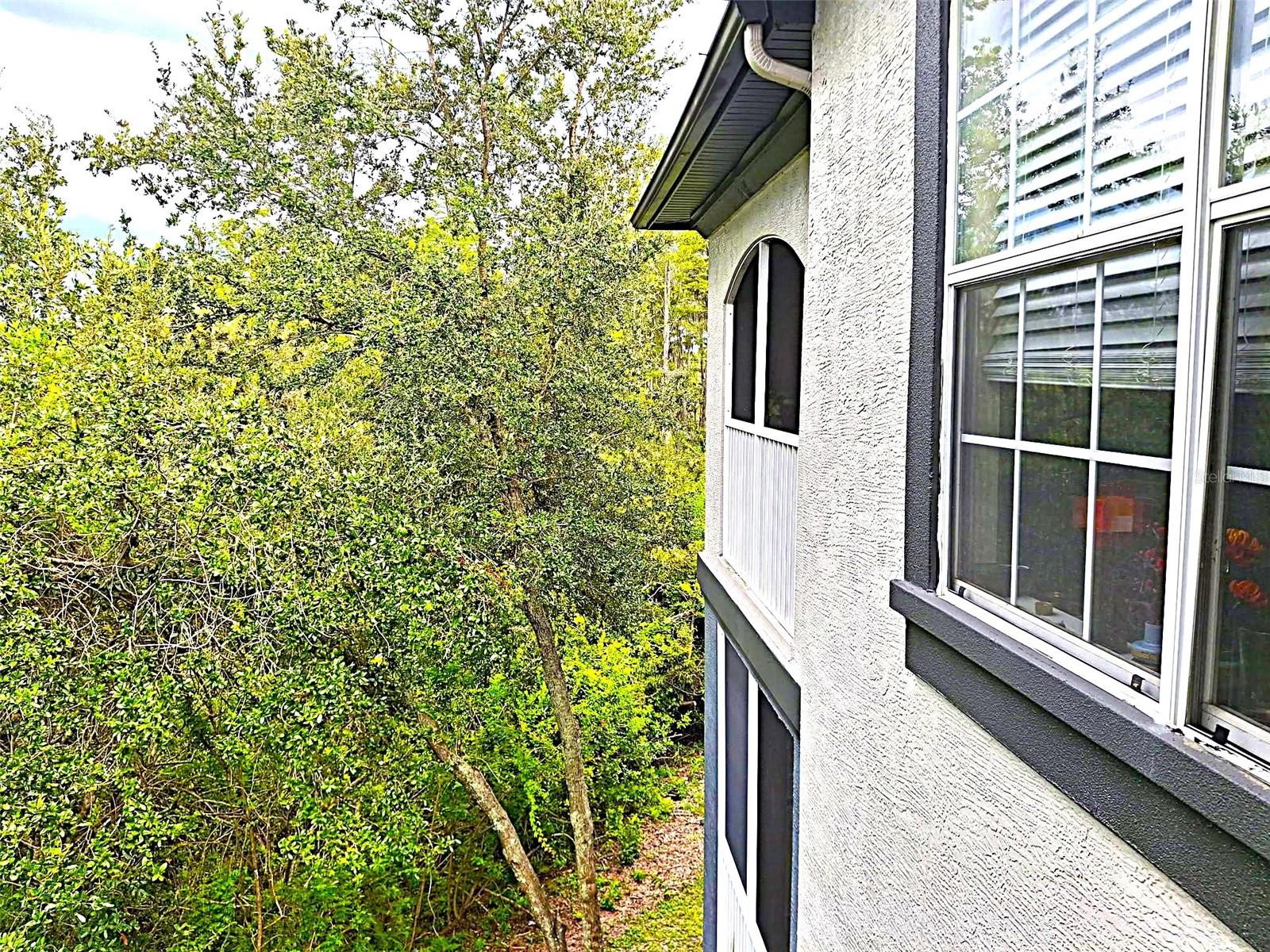 THE PRESERVE AT TEMPLE TERRACE - Residential