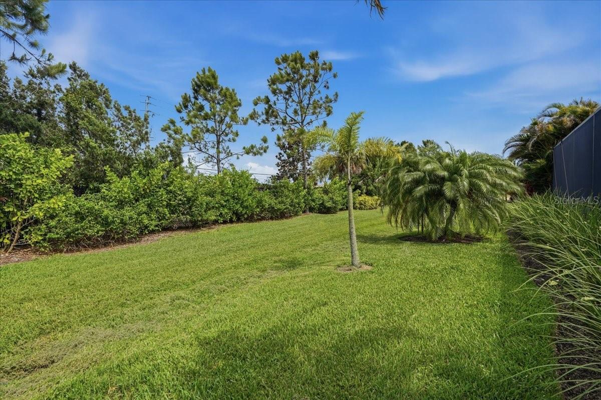 WOODLAND TRACE - Residential