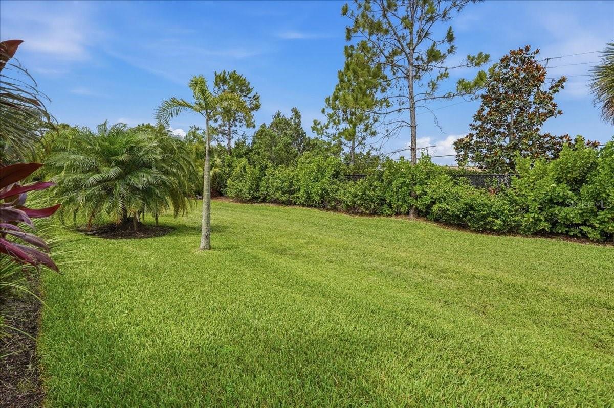 WOODLAND TRACE - Residential