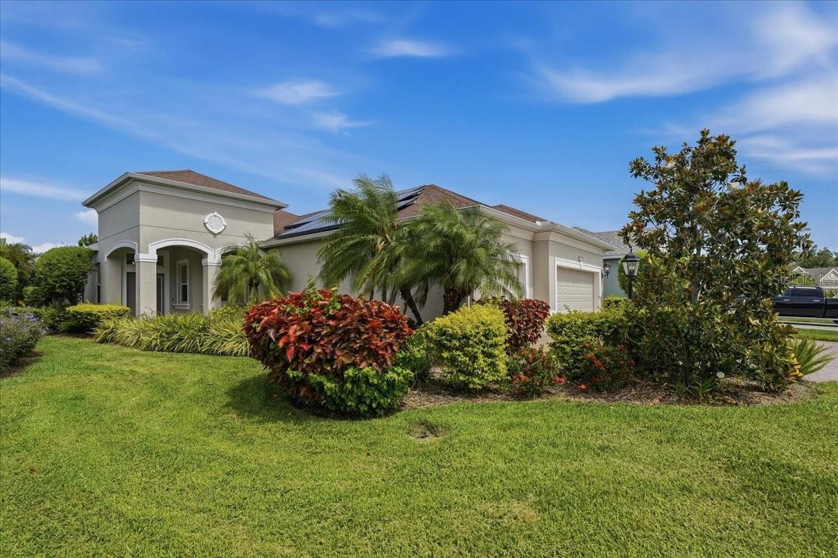 WOODLAND TRACE - Residential