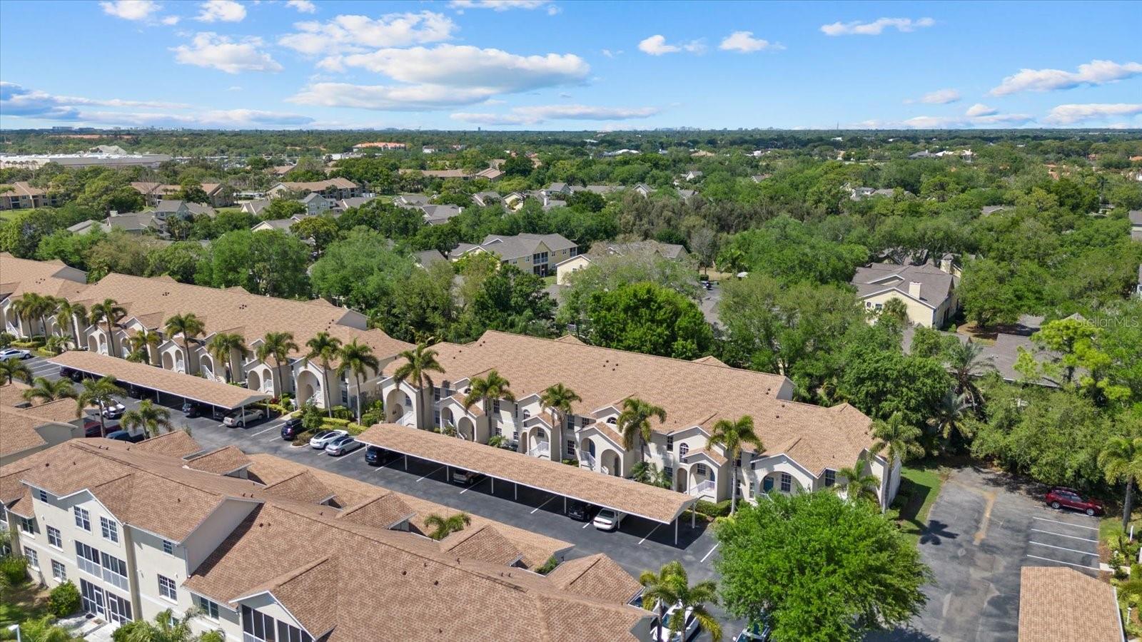 PINESTONE AT PALMER RANCH - Residential