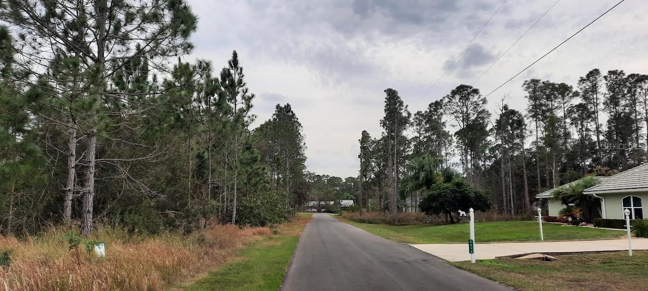 INDIAN LAKE ESTATES - Land