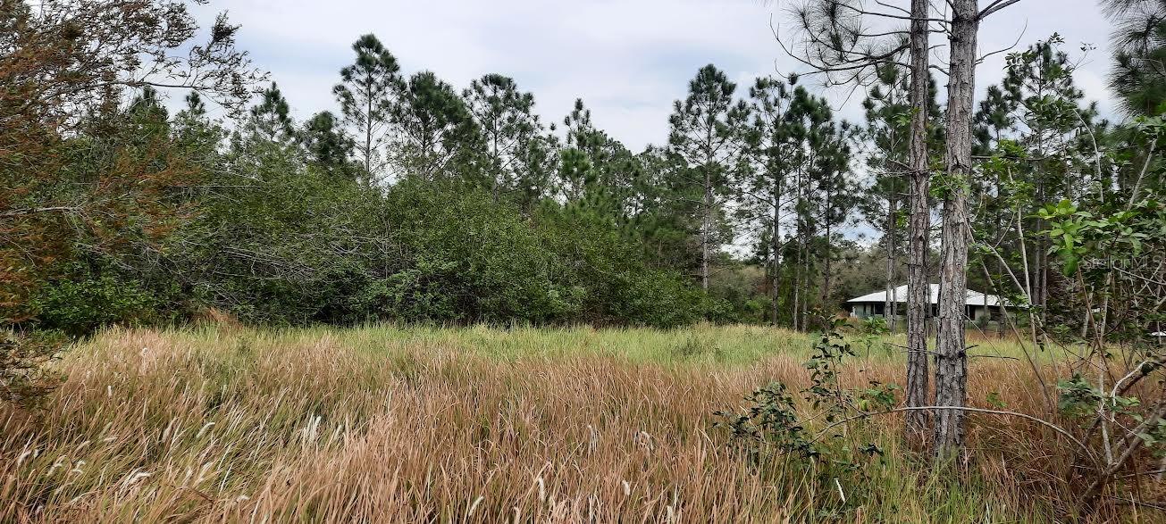 INDIAN LAKE ESTATES - Land